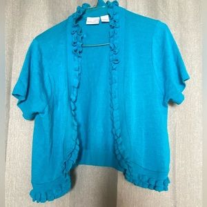 Short sleeve, Kim Rogers sweater- size L